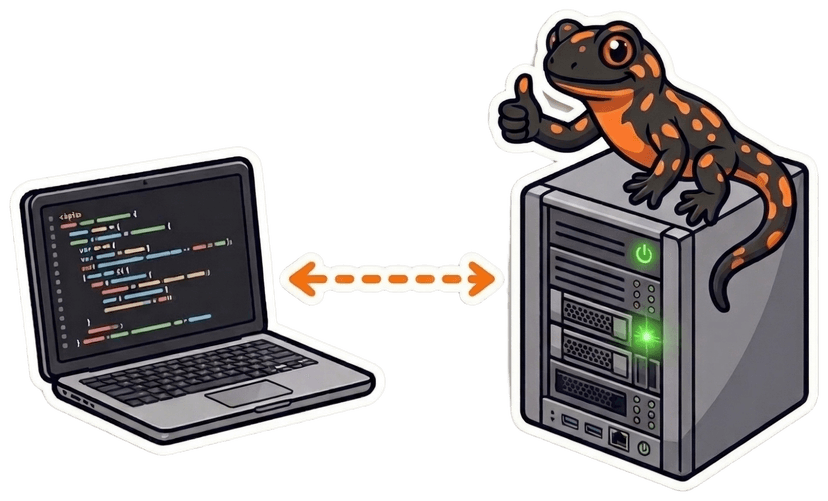 Salamander sitting on a server, giving thumbs up, connected to a laptop